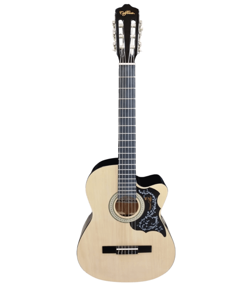 Guitarra acústica California CALC5TC - con funda